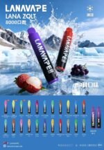 LANA 拋棄式8000買10送1：圖片 2