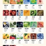 TUTU 煙彈 買15送主機